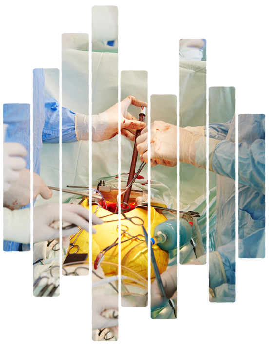 Thoracic & Vascular Surgery